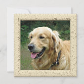 かわいいハッピーマザーズと父親の日と犬の写真 案内状 (正面)