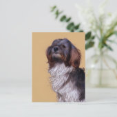 かわいいハバナの子犬はがき ポストカード (スタンド正面)