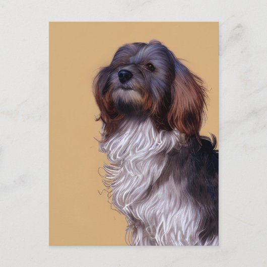 かわいいハバナの子犬はがき ポストカード (正面)