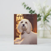 かわいいハバナの子犬はがき ポストカード (スタンド正面)