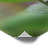 かわいいハミングバード写真 ポスター (角)