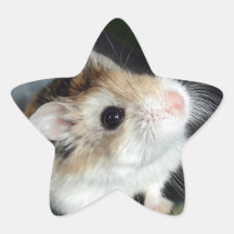 かわいいハムスターの星ステッカー