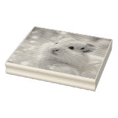 かわいいハムスターの泡 ラバースタンプ (スタンプ)