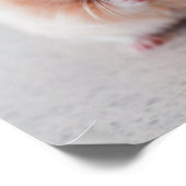 かわいいハムスターは動物を愛す ポスター (角)