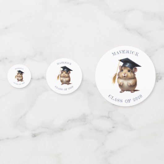 かわいいハムスター幼稚園の卒業写真 コンフェッティ (正面)