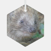 かわいいハリネズミのクリスマスガラスオーナメント ガラスオーナメント (正面)