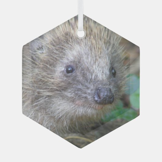 かわいいハリネズミのクリスマスガラスオーナメント ガラスオーナメント (正面)