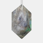 かわいいハリネズミのクリスマスガラスオーナメント ガラスオーナメント (正面右)