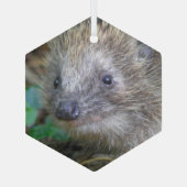 かわいいハリネズミのクリスマスガラスオーナメント ガラスオーナメント (裏面)