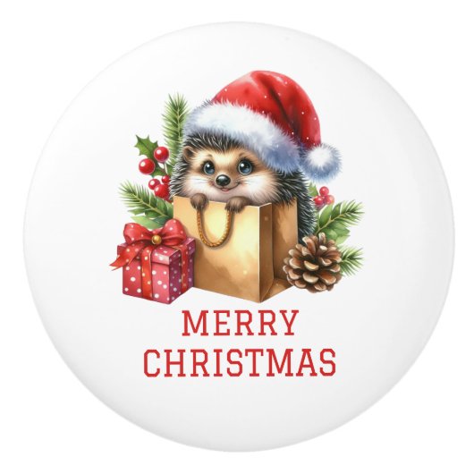 かわいいハリネズミのクリスマス セラミックノブ (正面)