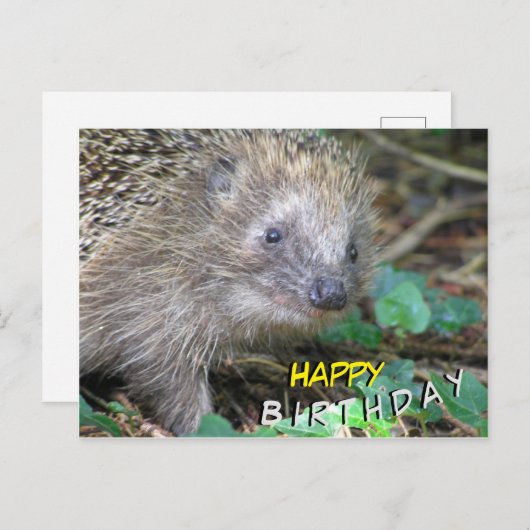 かわいいハリネズミの誕生日ポストカード ポストカード (正面/裏面)
