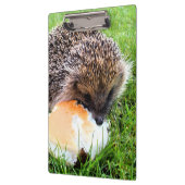 かわいいハリネズミ クリップボード (左)