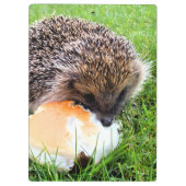 かわいいハリネズミ クリップボード (裏面)