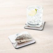 かわいいハリネズミ コースター (右側)