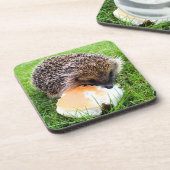 かわいいハリネズミ コースター (左側)