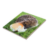 かわいいハリネズミ タイル (側面)