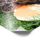 かわいいハリネズミ フォトプリント            (角)