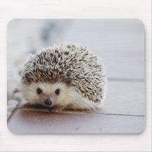 かわいいハリネズミ、マウスパッド