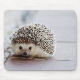かわいいハリネズミ、マウスパッド マウスパッド