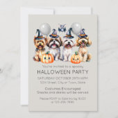 かわいいハロウィーンの衣装パーティー 招待状 (正面)