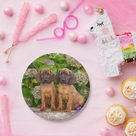 かわいいバイエリアン·マウンテンに花を持つ子犬が飼われる ペーパープレート (パーティー)