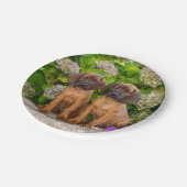 かわいいバイエリアン·マウンテンに花を持つ子犬が飼われる ペーパープレート