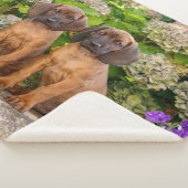 かわいいバイエルンの山犬の子犬と花 シェルパブランケット (3/4)