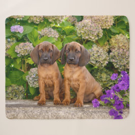 かわいいバイエルンの山犬の子犬と花 シェルパブランケット