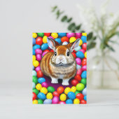 かわいいバニーとゼリービーンハガキ ポストカード (スタンド正面)