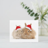 かわいいバニーの休日の郵便はがき シーズンポストカード (スタンド正面)