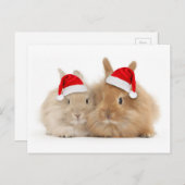 かわいいバニーの休日の郵便はがき シーズンポストカード (正面/裏面)