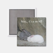 かわいいバニーウサギとことわざ マグネット (正面/裏面)