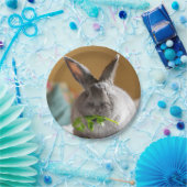 かわいいバニーウサギの食べ物サラダ紙皿 ペーパープレート (パーティー)