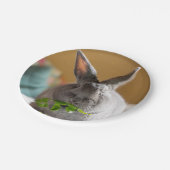 かわいいバニーウサギの食べ物サラダ紙皿 ペーパープレート (アングル)