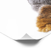 かわいいバニーコットンテール動物ウォールアート フォトプリント (角)