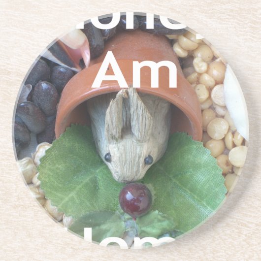 かわいいバニースナック コースター (正面)