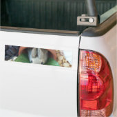 かわいいバニースナック バンパーステッカー (トラック上)