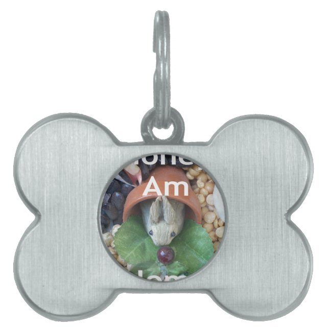 かわいいバニースナック ペットネームタグ (正面)