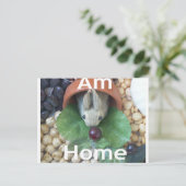 かわいいバニースナック ポストカード (スタンド正面)