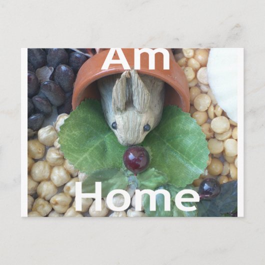 かわいいバニースナック ポストカード (正面)