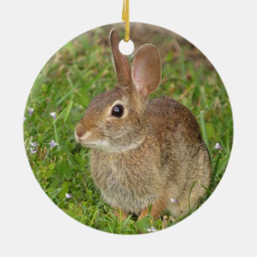 かわいいバニー写真をパーソナライズ セラミックオーナメント (裏面)