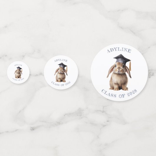 かわいいバニー幼稚園の卒業写真 コンフェッティ (正面)