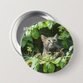 かわいいバードウォッチング猫ボタン 缶バッジ (正面&裏面)