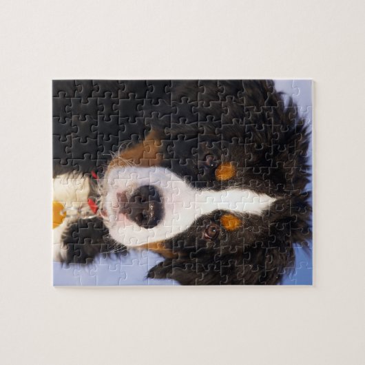 かわいいバーニーズ・マウンテン・ドッグの子犬の写真 ジグソーパズル (横)