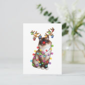 かわいいバーマンキャットおもしろいクリスマスホリディギフト ポストカード (スタンド正面)