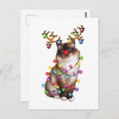 かわいいバーマンキャットおもしろいクリスマスホリディギフト ポストカード (正面/裏面)