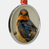 かわいいバーンスワローソングバードとトレーディングステア メタルオーナメント (右)