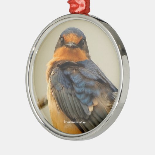 かわいいバーンスワローソングバードとトレーディングステア メタルオーナメント (左)