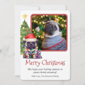 かわいいパグとクリスマスツリーペットドッグワン写真 シーズンカード (正面)