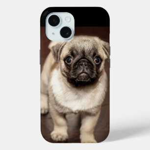 かわいいパグの子犬の写真 iPhone 15ケース